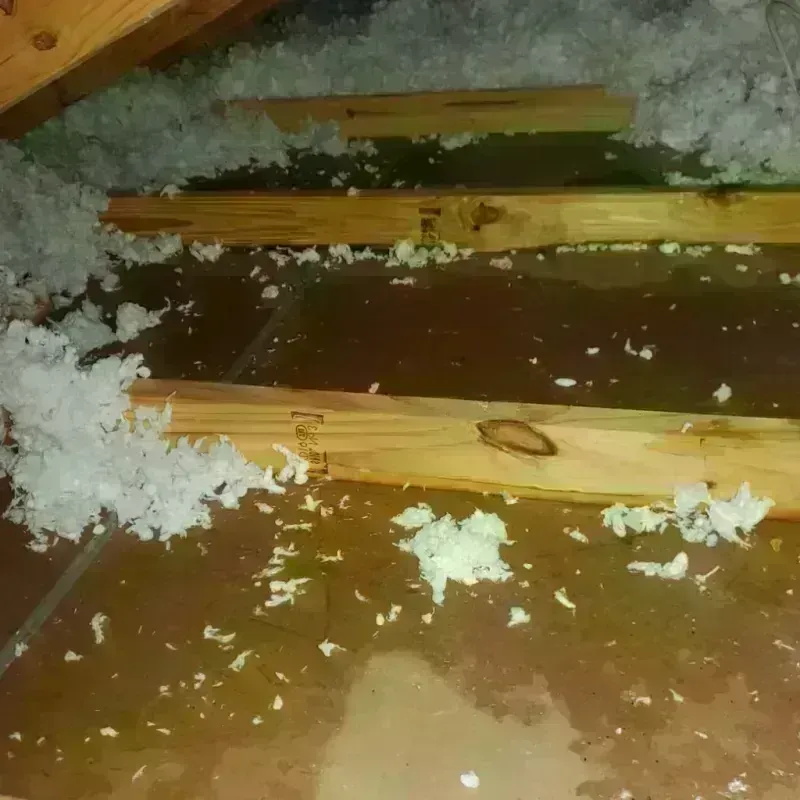 Attic Water Damage in Talmage, CA